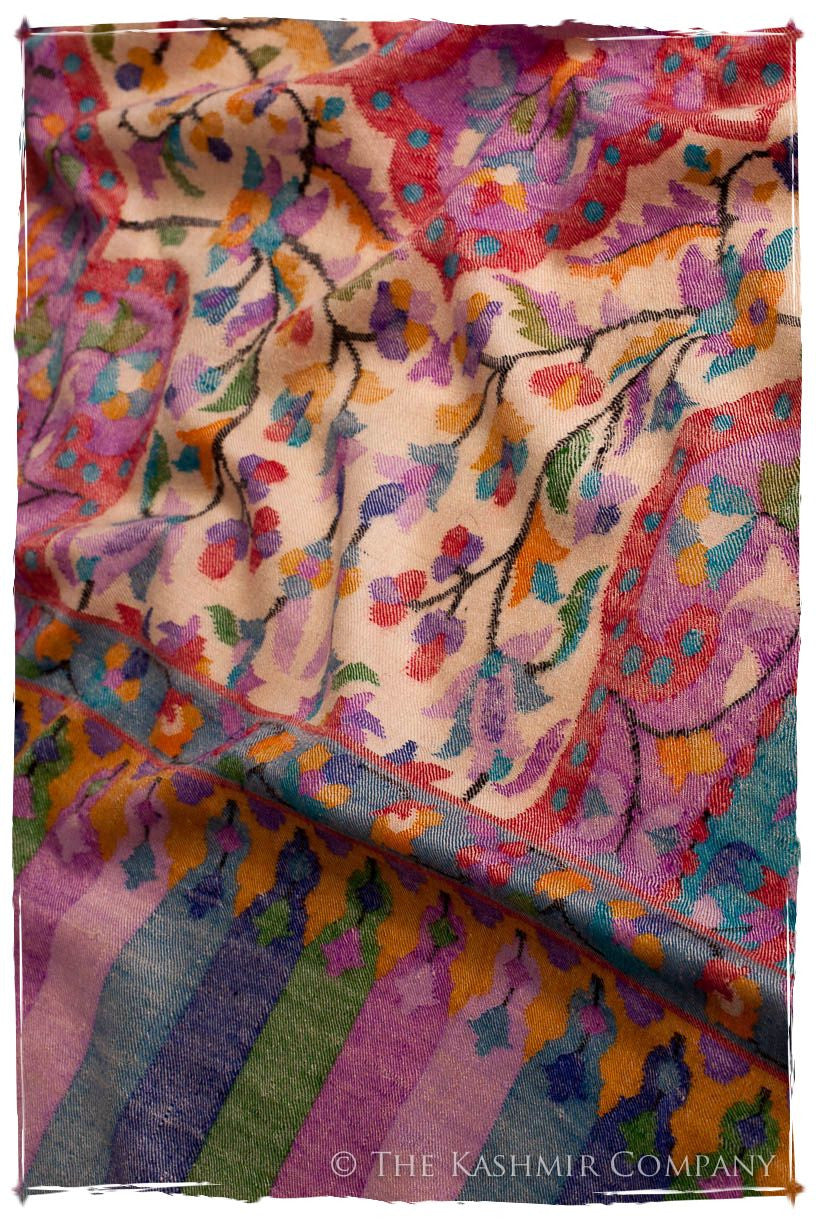 La Bohème - Kani Grand Handloom Pashmina Shawl