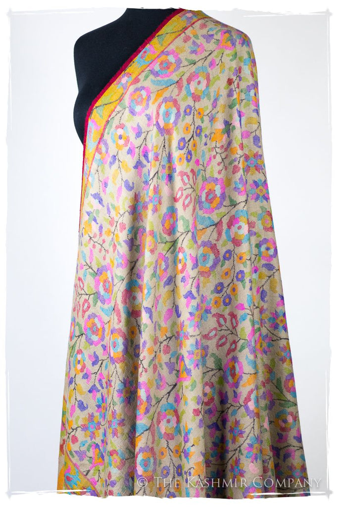 La Carnaval Orient Shawl - Kani Grand Handloom Pashmina Shawl