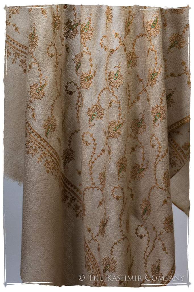 Sahara Sun - Grand Pashmina Shawl — Seasons by The Kashmir Company