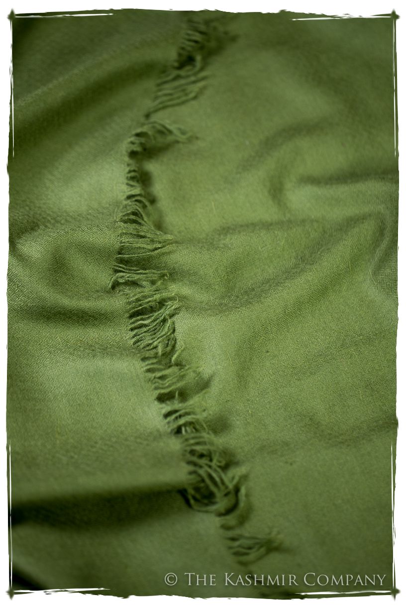 Fern Garden- Le Luxe Simple - Grand Handloom Pashmina Shawl