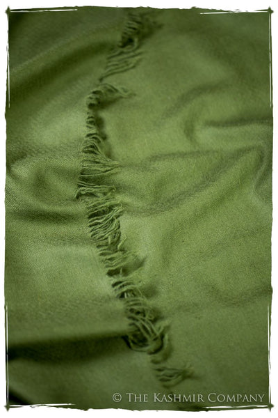 Fern Garden- Le Luxe Simple - Grand Handloom Pashmina Shawl