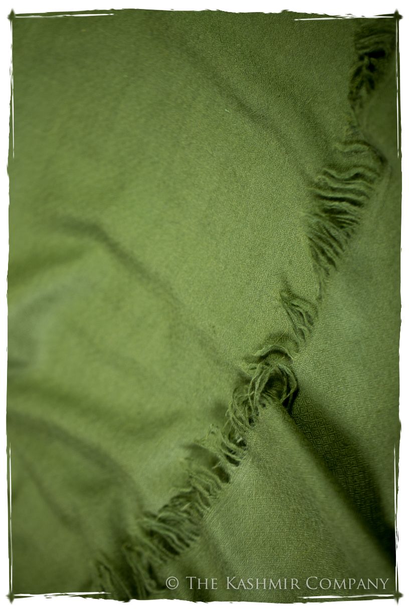 Fern Garden- Le Luxe Simple - Grand Handloom Pashmina Shawl