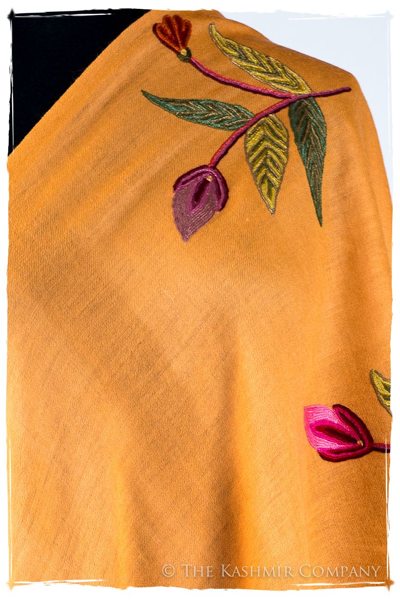 Joie Je Ne Sais Quoi Shawl