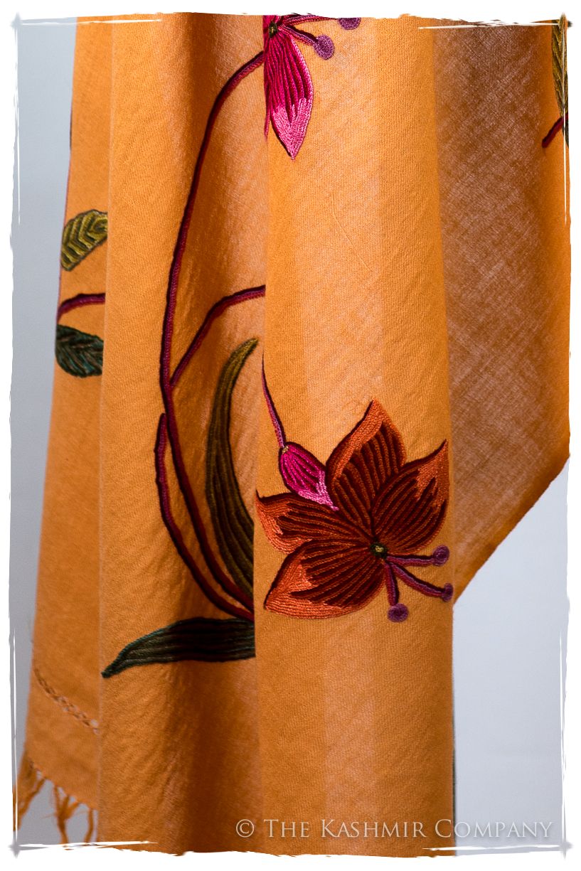 Joie Je Ne Sais Quoi Shawl
