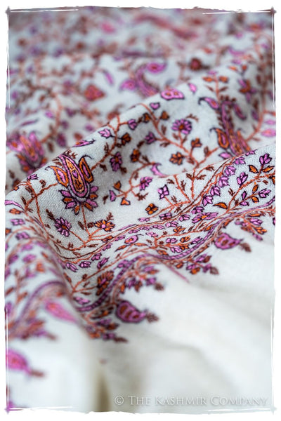 The Willow La Belle Rosé - Grand Pashmina Shawl