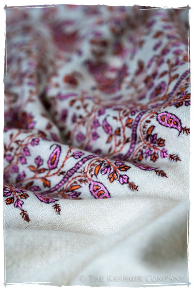 The Willow La Belle Rosé - Grand Pashmina Shawl