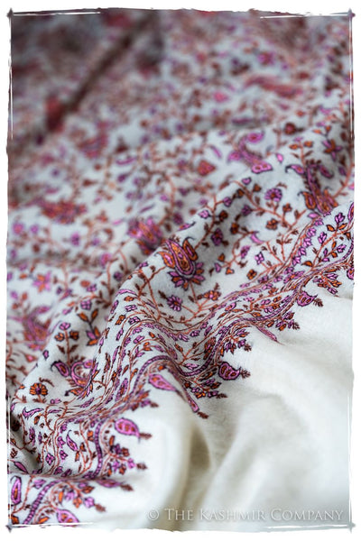 The Willow La Belle Rosé - Grand Pashmina Shawl