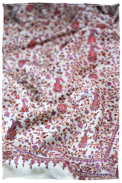 The Willow La Belle Rosé - Grand Pashmina Shawl