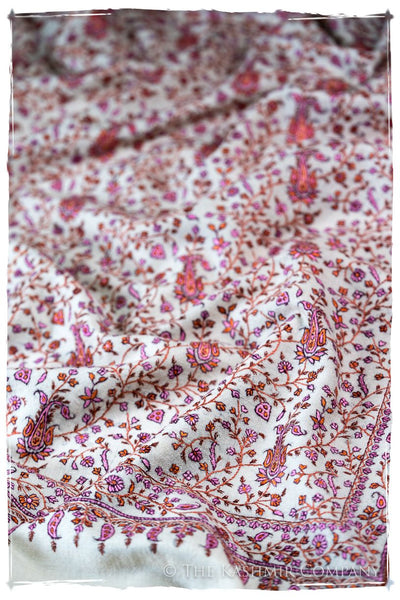 The Willow La Belle Rosé - Grand Pashmina Shawl