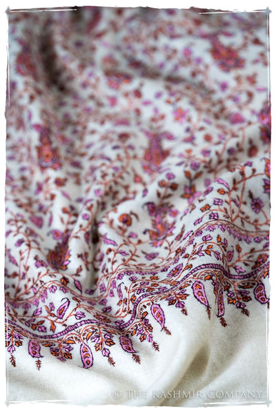 The Willow La Belle Rosé - Grand Pashmina Shawl