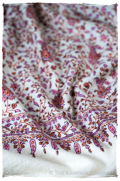 The Willow La Belle Rosé - Grand Pashmina Shawl