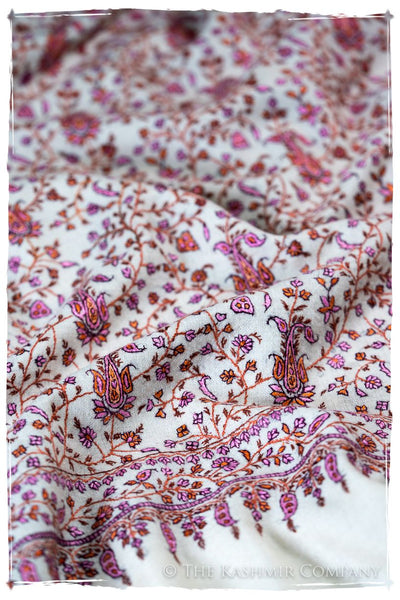 The Willow La Belle Rosé - Grand Pashmina Shawl