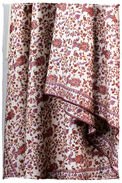 The Willow La Belle Rosé - Grand Pashmina Shawl