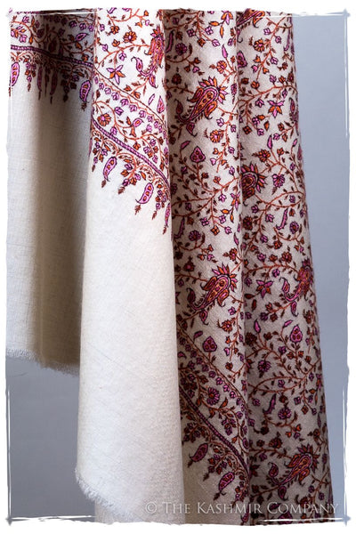 The Willow La Belle Rosé - Grand Pashmina Shawl