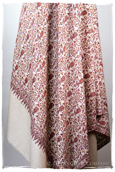 The Willow La Belle Rosé - Grand Pashmina Shawl