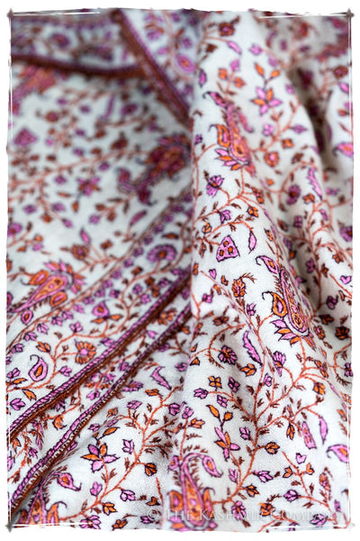 The Willow La Belle Rosé - Grand Pashmina Shawl