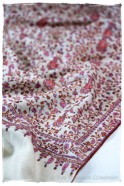 The Willow La Belle Rosé - Grand Pashmina Shawl