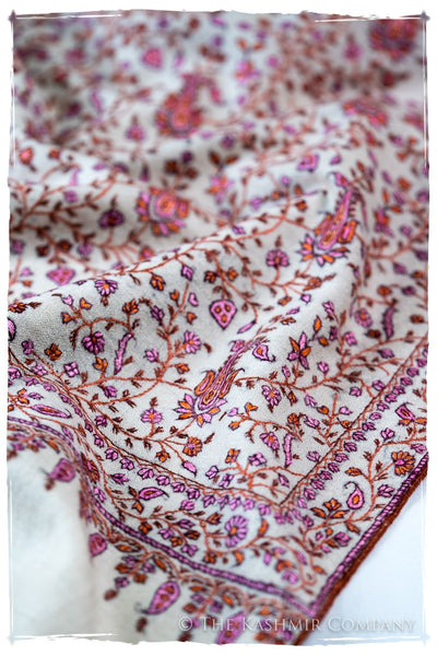 The Willow La Belle Rosé - Grand Pashmina Shawl