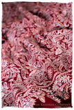 The Kaleidoscope Bordeaux Moondance - Grand Pashmina Shawl