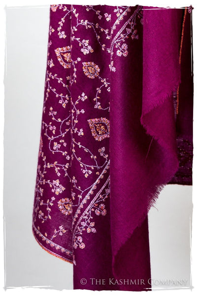 L’Agape Avignon - Grand Pashmina Shawl