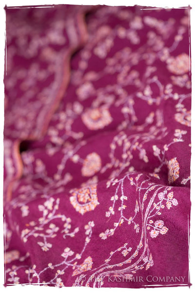 L’Agape Avignon - Grand Pashmina Shawl