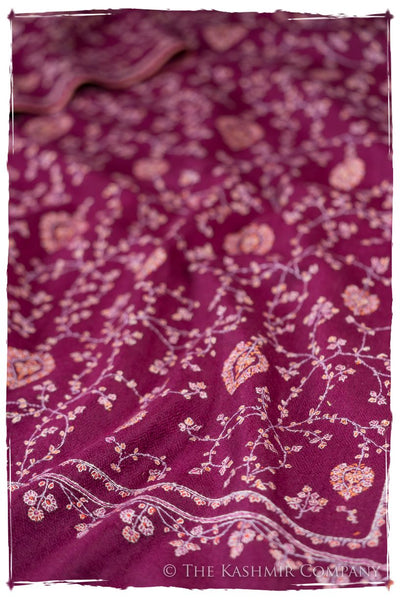 L’Agape Avignon - Grand Pashmina Shawl