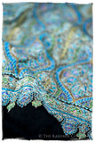 The Bléu Reflection - Grand Pashmina Shawl