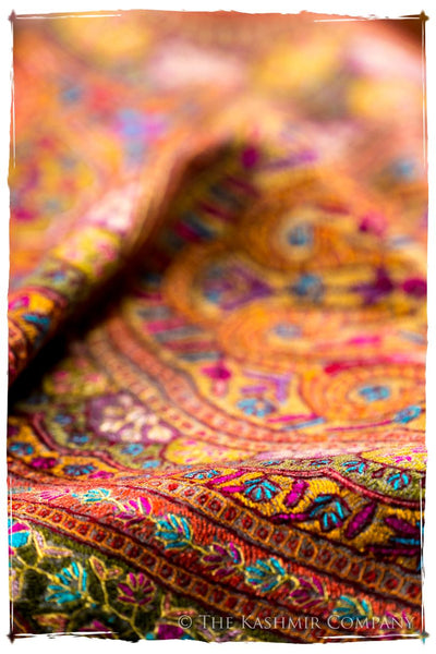 Jewels of Cleopatra - Grand Pashmina Shawl