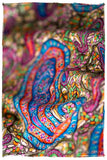 The Paisley Tapéstry - Grand Pashmina Shawl