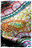 Jewels of Noorjéhan - Grand Pashmina Shawl