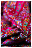 Le Rougé Paisley - Grand Pashmina Shawl