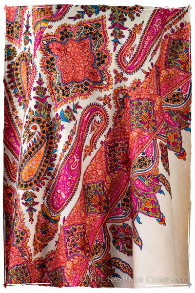 The Artisté - Grand Pashmina Shawl