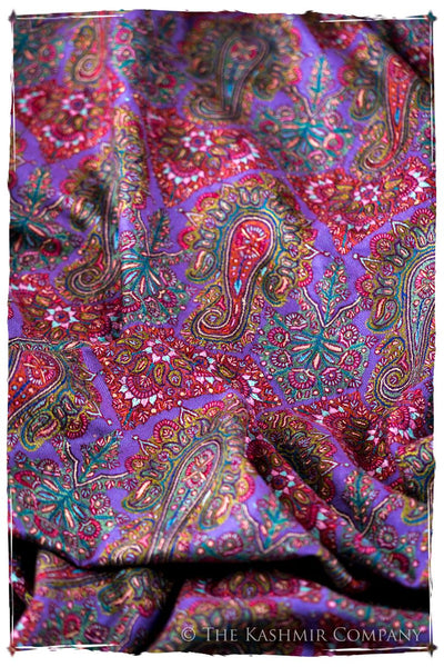 The Provencé - Grand Pashmina Shawl