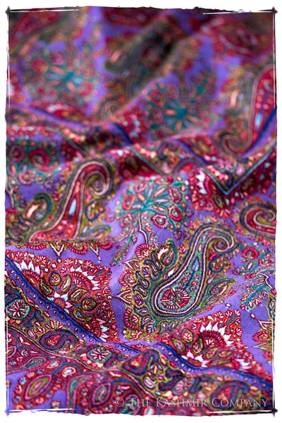 The Provencé - Grand Pashmina Shawl