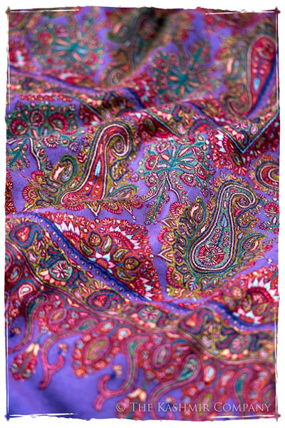 The Provencé - Grand Pashmina Shawl