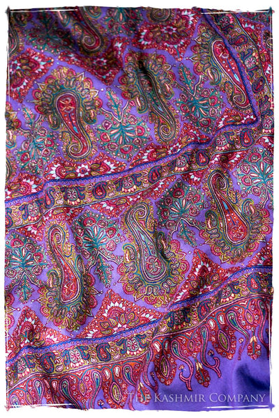 The Provencé - Grand Pashmina Shawl