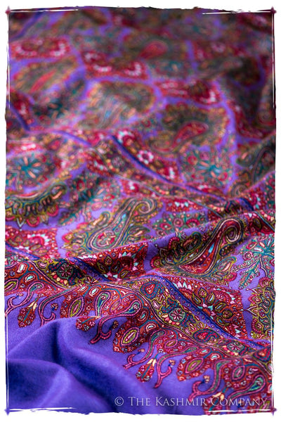 The Provencé - Grand Pashmina Shawl