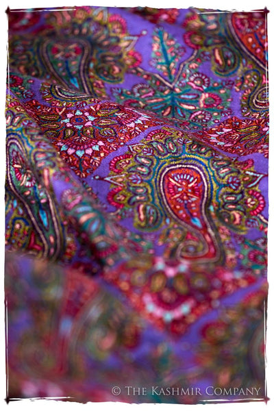 The Provencé - Grand Pashmina Shawl