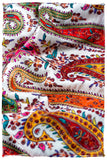 The Artisté Palétte- Grand Pashmina Shawl