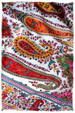 The Artisté Palétte- Grand Pashmina Shawl
