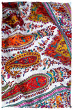 The Artisté Palétte- Grand Pashmina Shawl