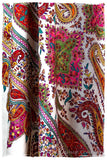 The Artisté Palétte- Grand Pashmina Shawl