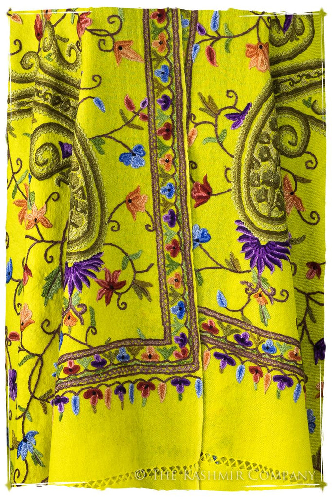 Jardin de Pierre Précieuse Topaze Paisley Shawl