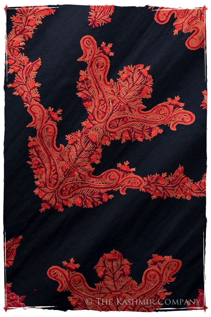 Frontière de Sainte-Croix Française Paisley Provence Shawl