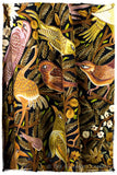 Oiseaux d'Afrique du Nord Arabe Antiquaires Shawl