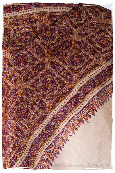 Sarah Jama de'Laine Sozni Paisley Orient Shawl