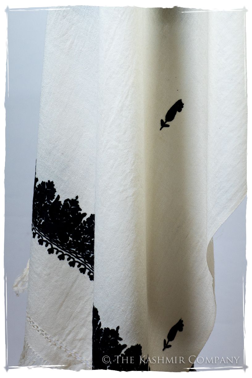 Josefina Frontières Paisley Gift Shawl
