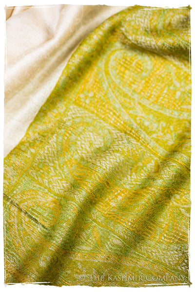 Rossella Paisley Frontière Pashmina Cashmere Scarf