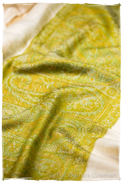 Rossella Paisley Frontière Pashmina Cashmere Scarf