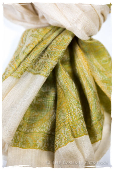 Rossella Paisley Frontière Pashmina Cashmere Scarf